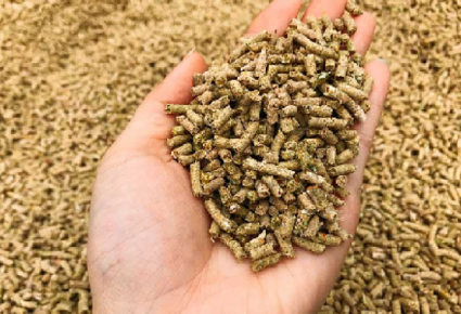 Production of animal feed